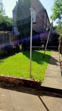 blank image